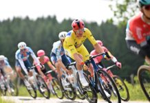 Nowe Trek Madone i Pinarello Dogma dostrzeżone podczas Critérium du Dauphiné 2024