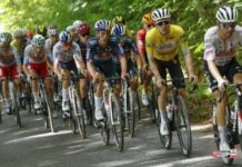 Czech Tour 2024: Ostatni etap dla Juliana Alaphilippe’a, wyścig wygrywa Marc Hirschi