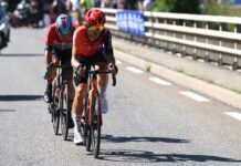 Michał Kwiatkowski i inne gwiazdy na starcie Cadel Evans Great Ocean Road Race