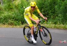Mistrzowska maszyna Tadeja Pogačara – przyjrzyjmy się jego Colnago V4RS
