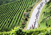 UCI wskazuje i karze winnego zamieszania w końcówce Faun-Ardèche Classic 2025