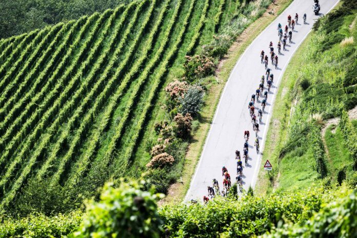 peleton tour de france 2024_3