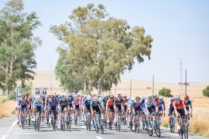peleton vuelta 2024_2