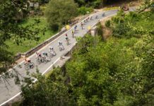 UCI Gran Fondo w Belgii przerwane z powodu ogromnej kraksy
