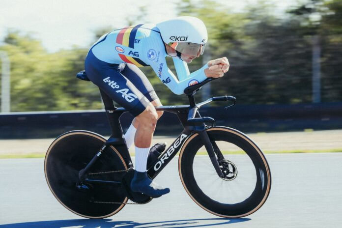 Alec Segaert