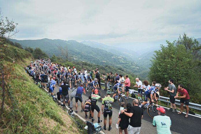 peleton vuelta 2024_5