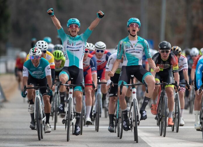bardiani