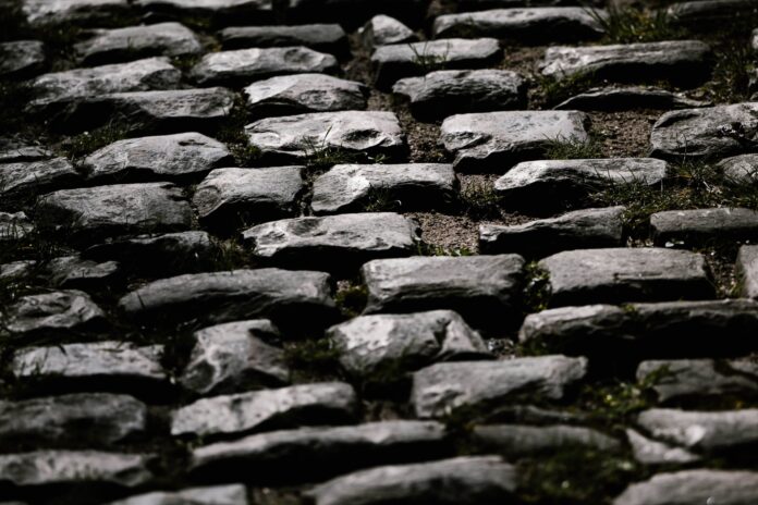 Bruki Paryż-Roubaix