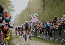 Jens Voigt o rywalizacji Pogačara i Van der Poela: „Dają z siebie wszystko i tworzą świetne widowisko”