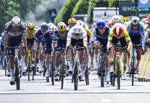 Critérium du Dauphiné 2025: Prototypowy rower od Factora u kolarza Israel-Premier Tech