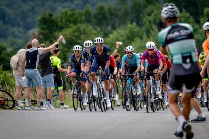 Peleton krajowy