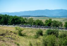 Tour of Holland 2025: Trzeci etap anulowany