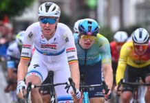 Omloop van het Houtland 2025: Tim Merlier z piętnastym zwycięstwem w sezonie