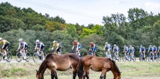 Tym razem aż do mety – zapowiedź 4. etapu Vuelta a España 2026