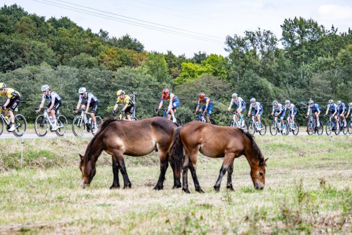 peleton vuelta 2025