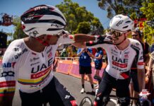 Santos Tour Down Under 2026: UAE show – Jay Vine i Jhonatan Narváez dominują