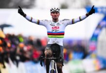 Selekcjoner reprezentacji Holandii: „10. tytuł w Hoogerheide… Sądzę, że Mathieu o nim myśli”
