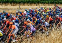 UCI rozszerza działalność systemu żółtych kartek