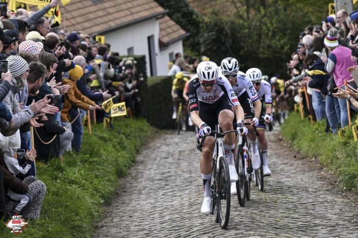 Florian Vermeersch Ronde
